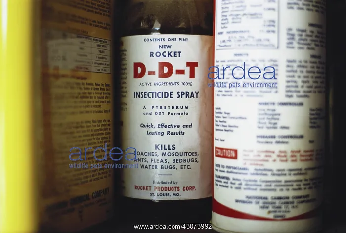 : Bottle of DDT Pesticide : Bottle of DDT Pesticide
