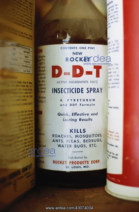 : Bottle of DDT Pesticide : Bottle of DDT Pesticide