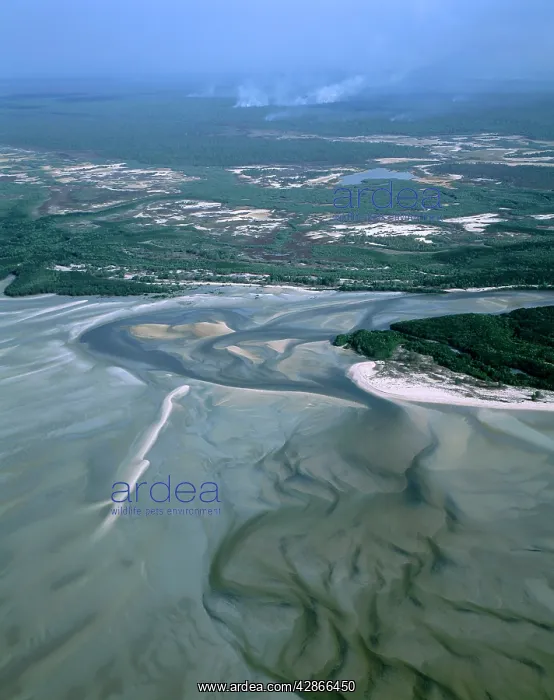 : Boucaut Bay, aerial sandy beach & mangrove, bushfire : Boucaut Bay, aerial sandy beach & mangrove, bushfire