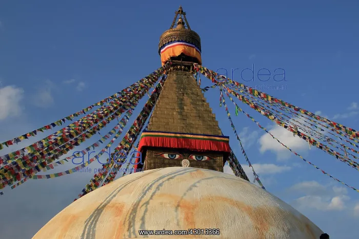 : Boudha Stupa of Boudhanath : Boudha Stupa of Boudhanath