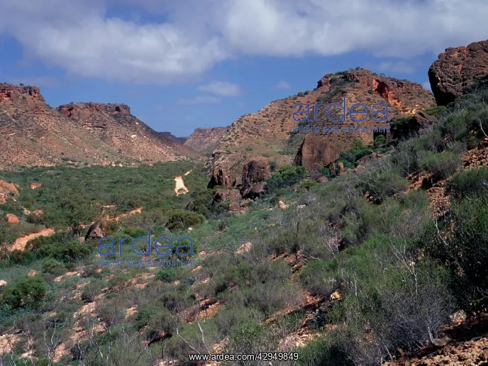 : Boulder-covered scree slope, Shothole Canyon, Cape : Boulder-covered scree slope, Shothole Canyon, Cape