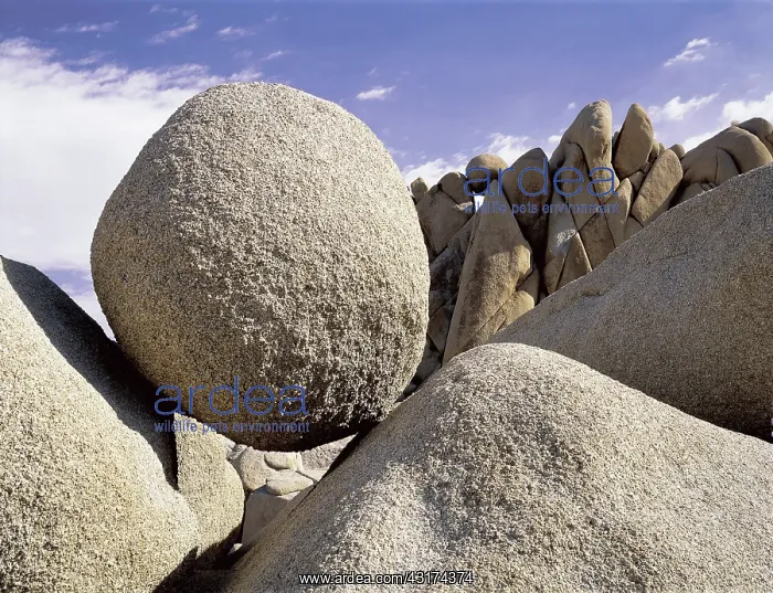 : Boulder in Joshua Tree National Park : Boulder in Joshua Tree National Park