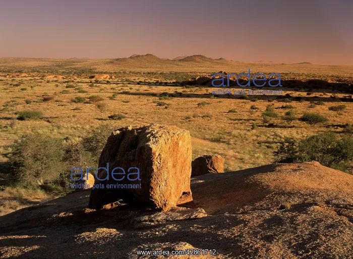 : Boulder and savanna - in late evening light at : Boulder and savanna - in late evening light at