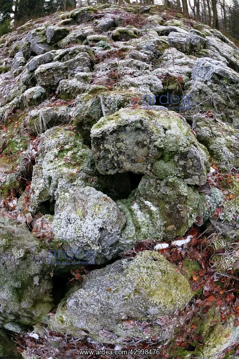 : Boulder Scree - covered in hoar frost Hoeher Meissner : Boulder Scree - covered in hoar frost Hoeher Meissner