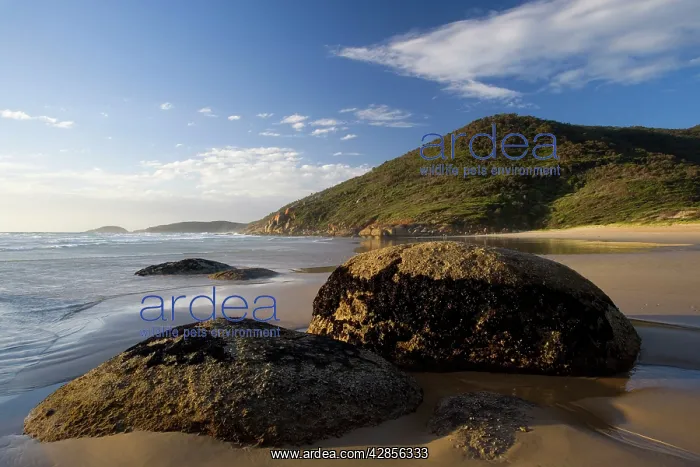 : Boulders on beach - in Whisky Bay : Boulders on beach - in Whisky Bay