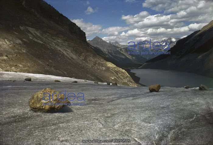 : Boulders on a Glacier : Boulders on a Glacier