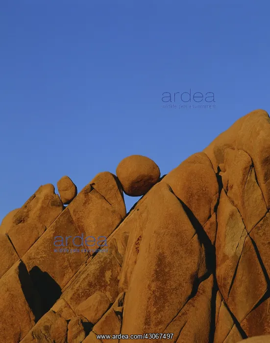 : Boulders in Joshua Tree NP : Boulders in Joshua Tree NP