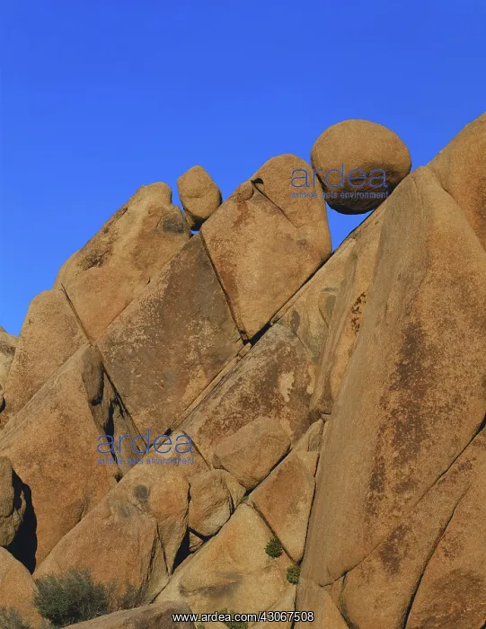  : Boulders in Joshua Tree NP