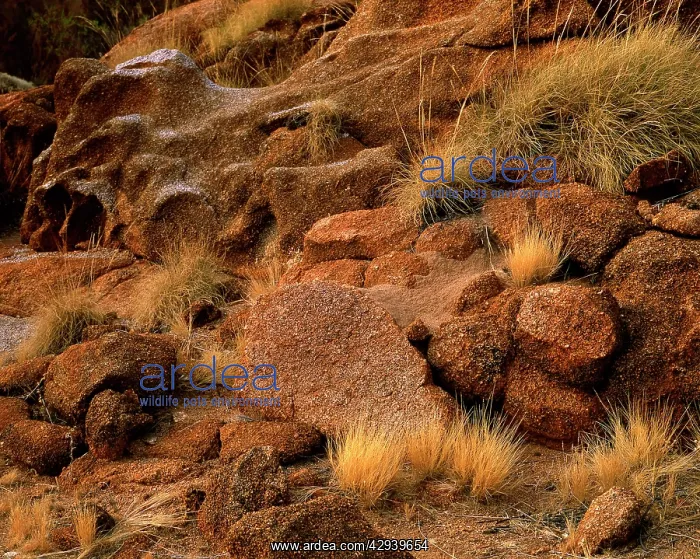 : Boulders in Karlwekarlwe Karlu Kalu (Iround objectsI) : Boulders in Karlwekarlwe Karlu Kalu (Iround objectsI)