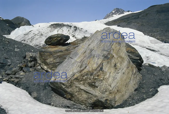 : Boulders in a Moraine : Boulders in a Moraine