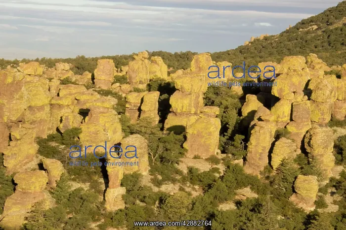  : Boulders of rock in the Chiricahua Mountains