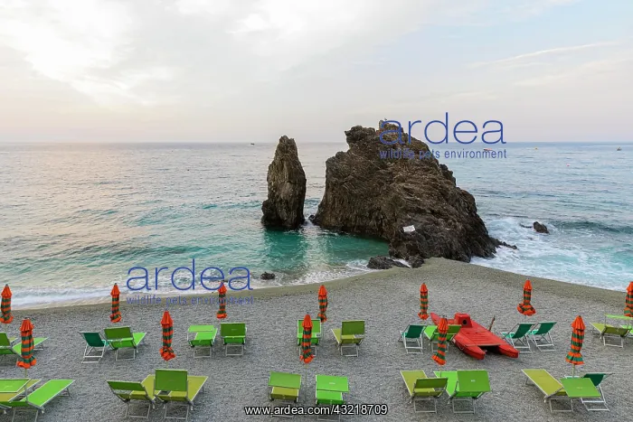  : Boulders, sunbeds and umbrellas on Fegina beach