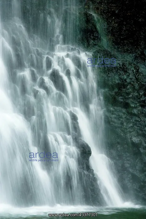 : Bouma Waterfall on Taveuni island, Fiji, Oceania : Bouma Waterfall on Taveuni island, Fiji, Oceania