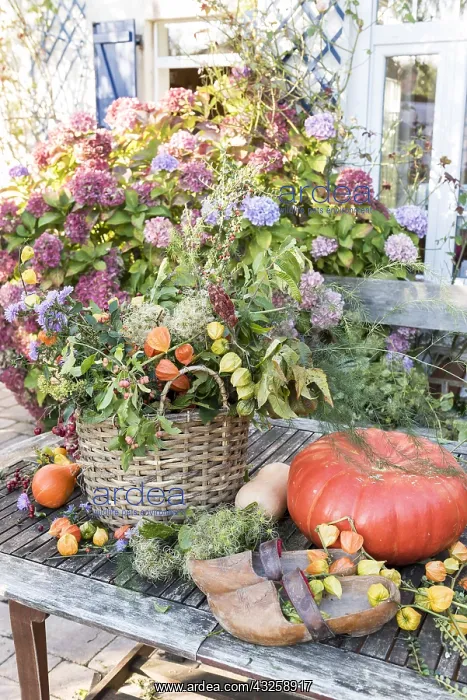 : Bouquet of autumn on a table, Pas de Calais, France : Bouquet of autumn on a table, Pas de Calais, France