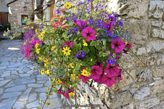 : Bouquet of flowers at the corner of a street in : Bouquet of flowers at the corner of a street in