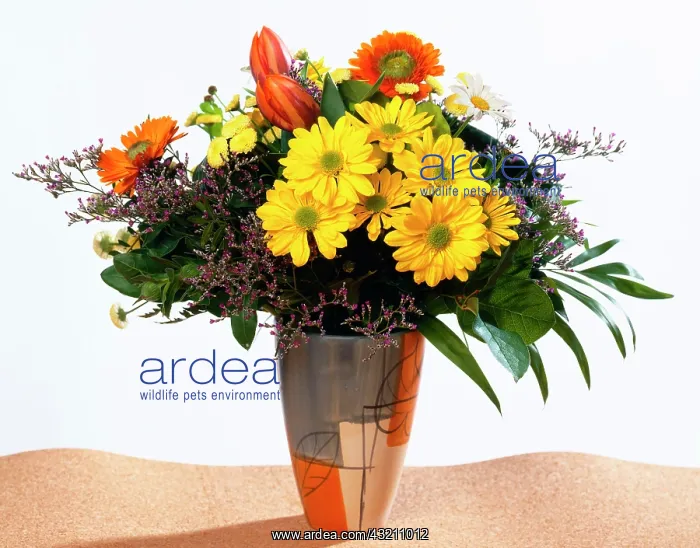 : Bouquet of flowers in vase : Bouquet of flowers in vase