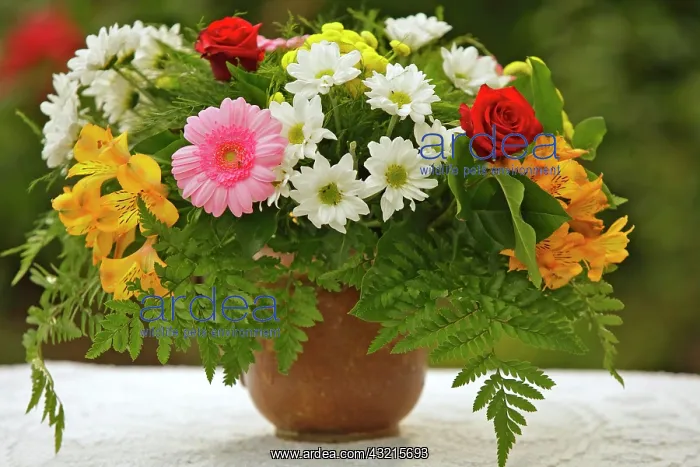 : Bouquet with Gerberas and Lilies (Lilium) in a vase : Bouquet with Gerberas and Lilies (Lilium) in a vase