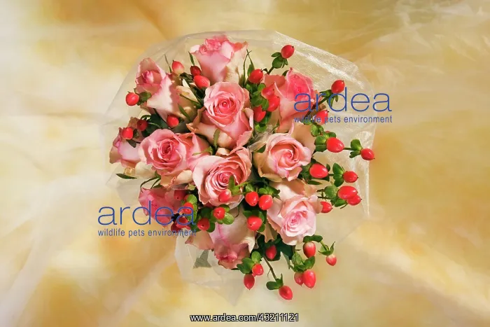 : Bouquet with roses : Bouquet with roses