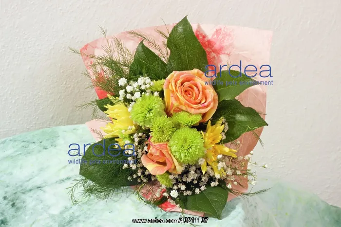 : Bouquet with roses : Bouquet with roses
