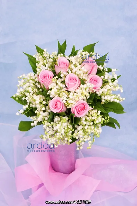 : Bouquet of roses and lily of the valley : Bouquet of roses and lily of the valley
