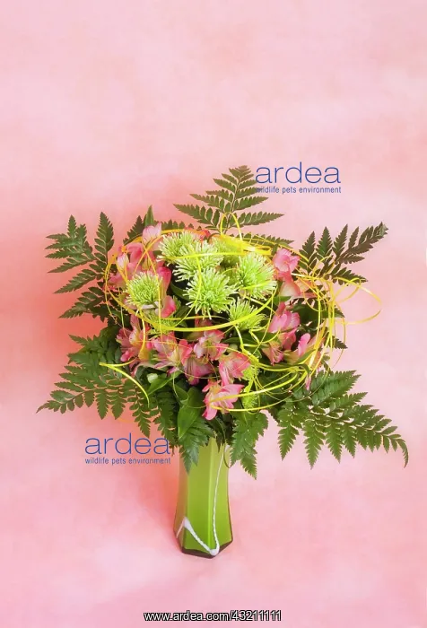 : Bouquet in a vase : Bouquet in a vase