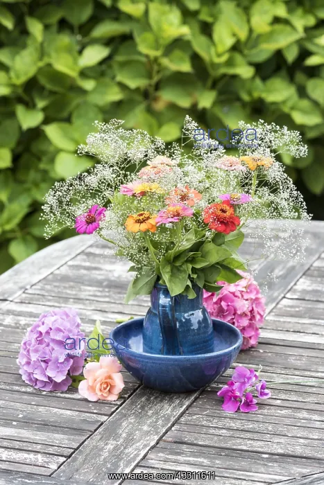 : Bouquet of Zinnias on a garden table in summer : Bouquet of Zinnias on a garden table in summer