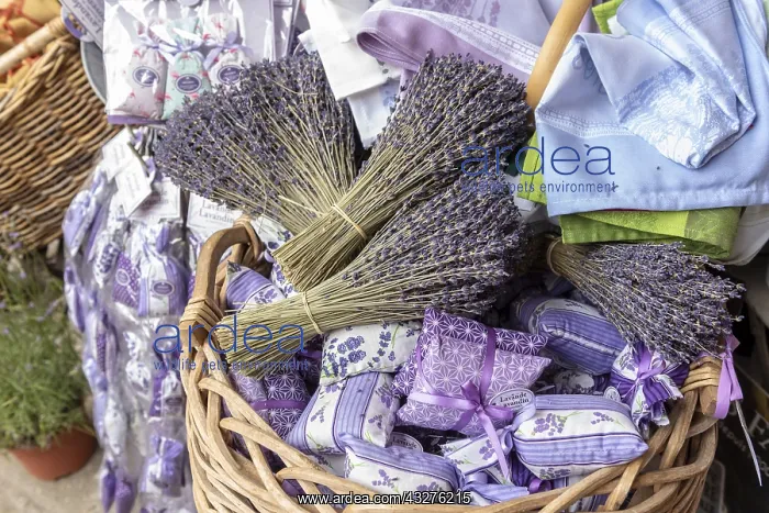 : Bouquets and sachets of lavender in a wicker basket : Bouquets and sachets of lavender in a wicker basket