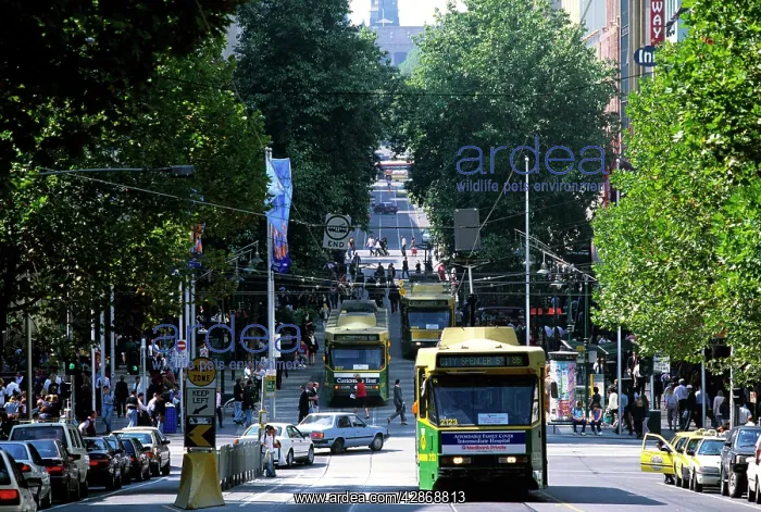 : Bourke Street Mall with tram Melbourne : Bourke Street Mall with tram Melbourne