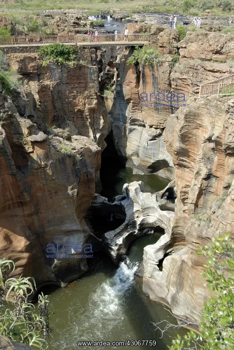 : Bourke's Luck Potholes : Bourke's Luck Potholes
