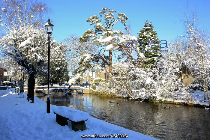  : Bourton on the Water - covered in snow
