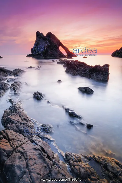 : Bow Fiddle Rock, Scotland, Great Britain : Bow Fiddle Rock, Scotland, Great Britain
