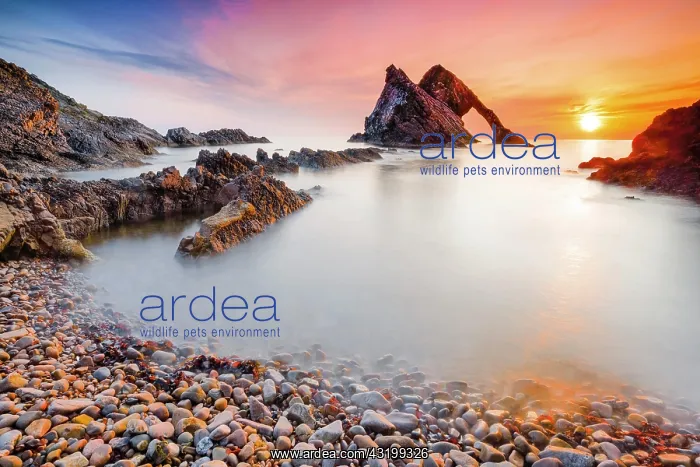 : Bow Fiddle Rock, Scotland, Great Britain : Bow Fiddle Rock, Scotland, Great Britain