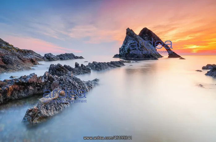 : Bow Fiddle Rock, Scotland, Great Britain : Bow Fiddle Rock, Scotland, Great Britain