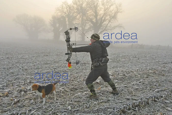 : Bow hunter and his dog in a field covered with ice : Bow hunter and his dog in a field covered with ice