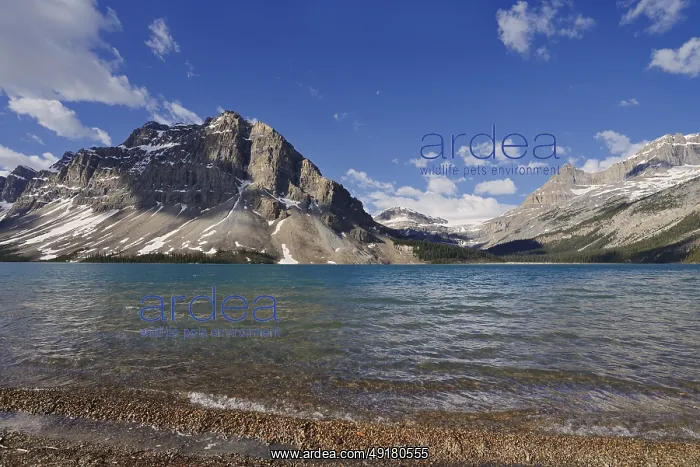 : Bow Lake with Crowfoot Mountain and Bow Glacier : Bow Lake with Crowfoot Mountain and Bow Glacier