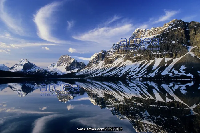 : Bow Lake, Crowfoot Mountain and Glacier : Bow Lake, Crowfoot Mountain and Glacier