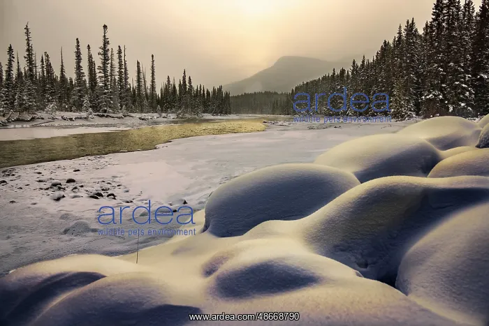 : Bow River snow mounds, Canada : Bow River snow mounds, Canada