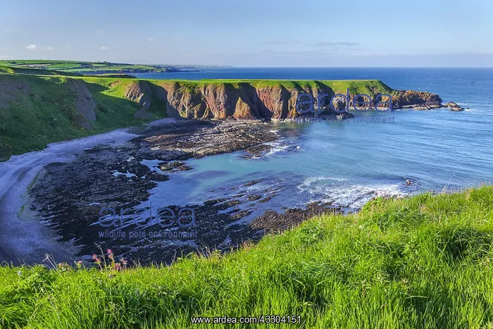 : Bowdun Head - coastal view towards Bowdun headland : Bowdun Head - coastal view towards Bowdun headland
