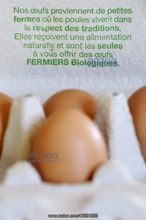 : Box of farmers eggs with explicative text : Box of farmers eggs with explicative text