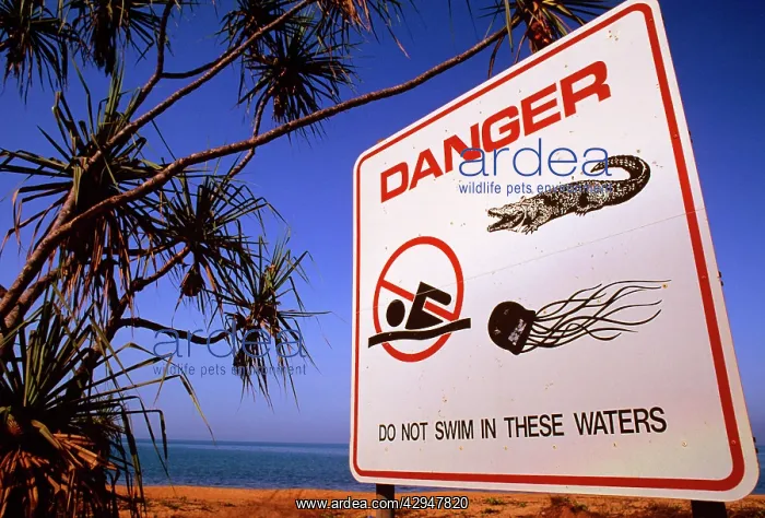  : Box Jellyfish and Crocodile warning sign for bathers