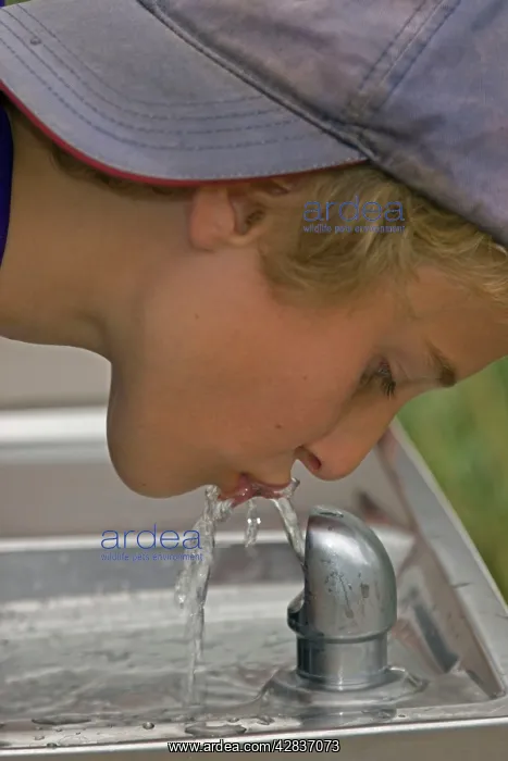 : Boy 11 - Drinking from water fountain : Boy 11 - Drinking from water fountain
