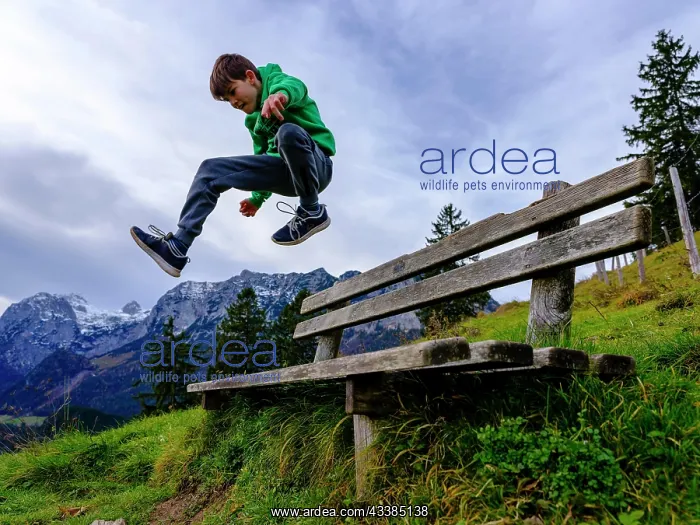 : Boy, 11, jumps over a wooden bench, in the background the Re : Boy, 11, jumps over a wooden bench, in the background the Re