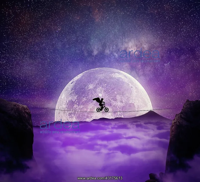 : Boy with angel wings balance on a wire over a chasm : Boy with angel wings balance on a wire over a chasm