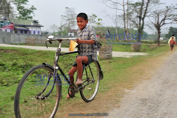 : Boy on a bicycle : Boy on a bicycle
