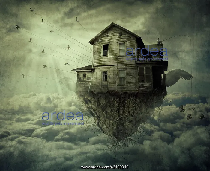 : Boy with a fishing rod standing on the roof of a : Boy with a fishing rod standing on the roof of a