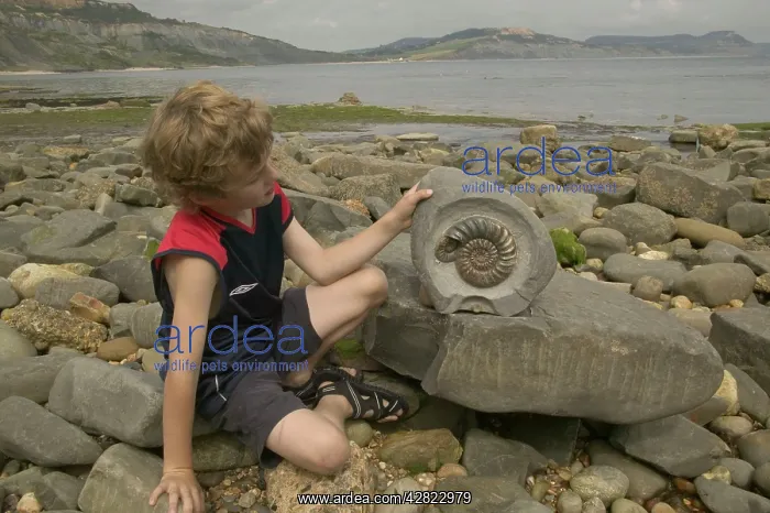: Boy with fossil ammonites : Boy with fossil ammonites