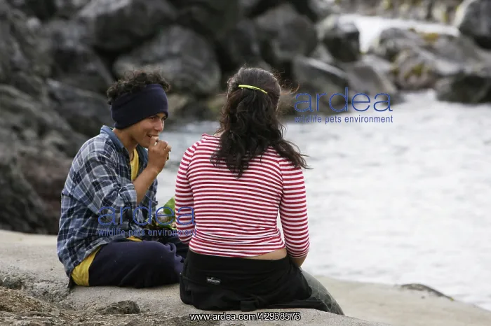 : A boy and girl sitting by the sea eating 'curantoI : A boy and girl sitting by the sea eating 'curantoI