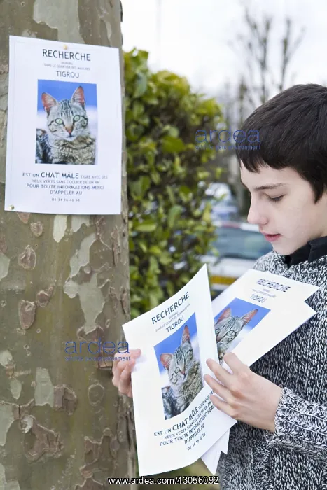 : Boy hanging a poster to find his lost cat : Boy hanging a poster to find his lost cat