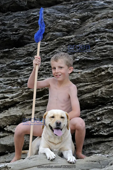 : Boy and his Labrador dog on the rocks Britain France : Boy and his Labrador dog on the rocks Britain France