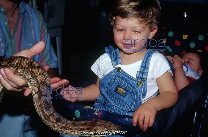  : Boy Meets Boa